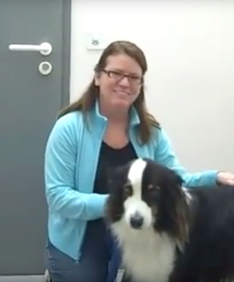 Vétérinaire Nyon, Veterinaire Nyon, Nyon Veterinaire, Nyon Vétérinaire, cabinet vétérinaire Nyon, cabinet veterinaire Nyon, clinique vétérinaire Nyon, vétérinaire de Garde Nyon,veterinaire de Garde Nyon, Cabinet Vétérinaire International