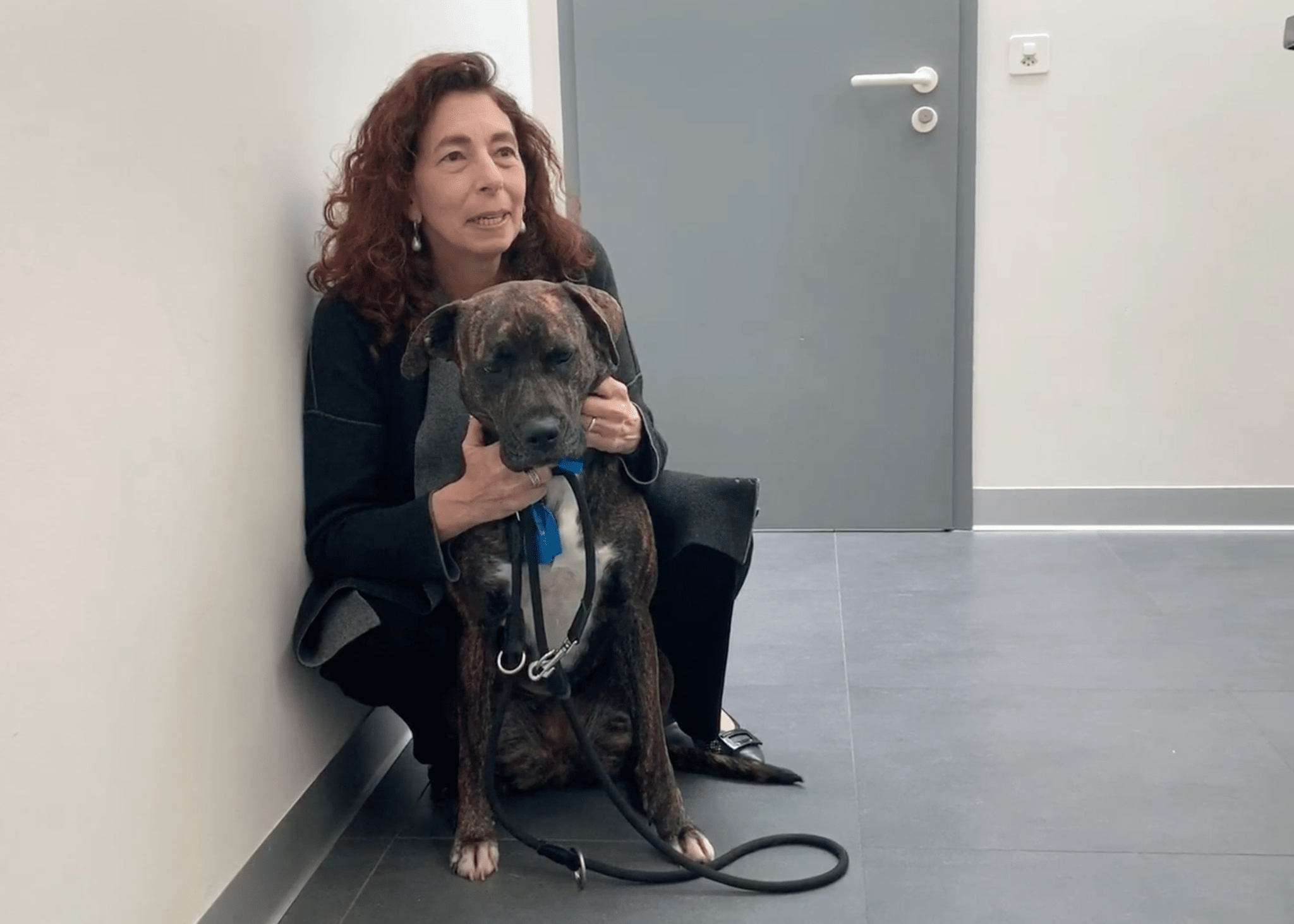 Maxi the dog, Vétérinaire Nyon, Veterinaire Nyon, Nyon Veterinaire, Nyon Vétérinaire, cabinet vétérinaire Nyon, cabinet veterinaire Nyon, clinique vétérinaire Nyon, vétérinaire de Garde Nyon,veterinaire de Garde Nyon, Cabinet Vétérinaire International