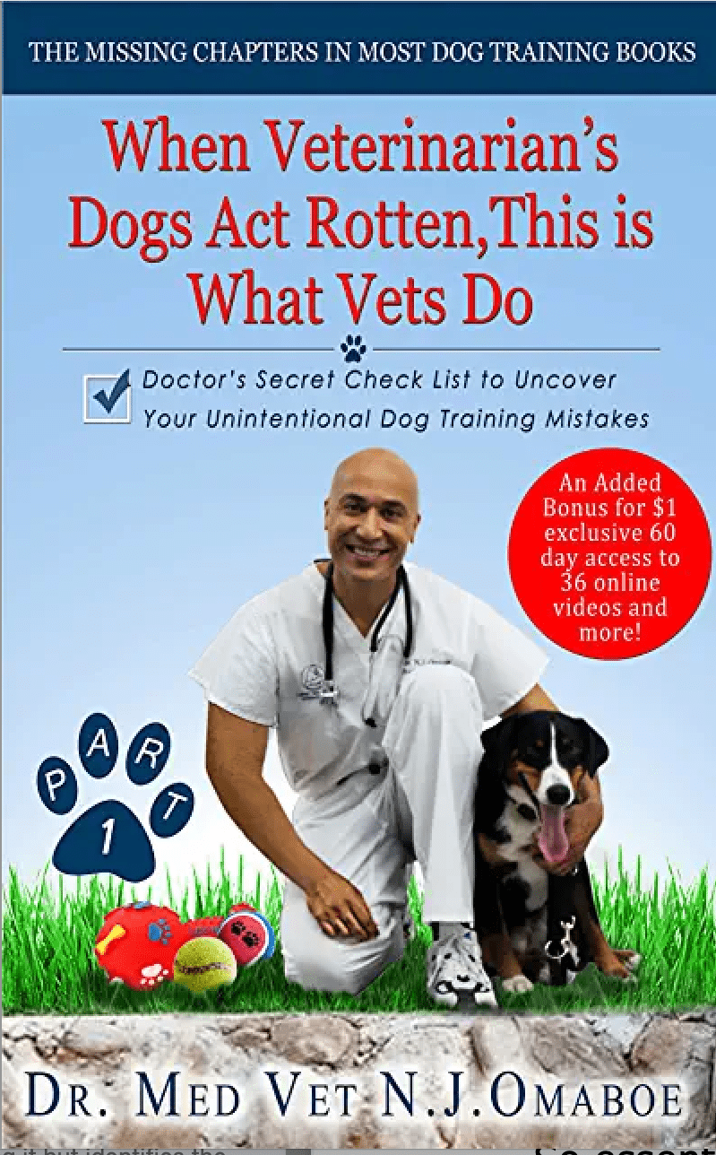 Vétérinaire Nyon, Veterinaire Nyon, Nyon Veterinaire, Nyon Vétérinaire, cabinet vétérinaire Nyon, cabinet veterinaire Nyon, clinique vétérinaire Nyon, vétérinaire de Garde Nyon,veterinaire de Garde Nyon, Cabinet Vétérinaire International