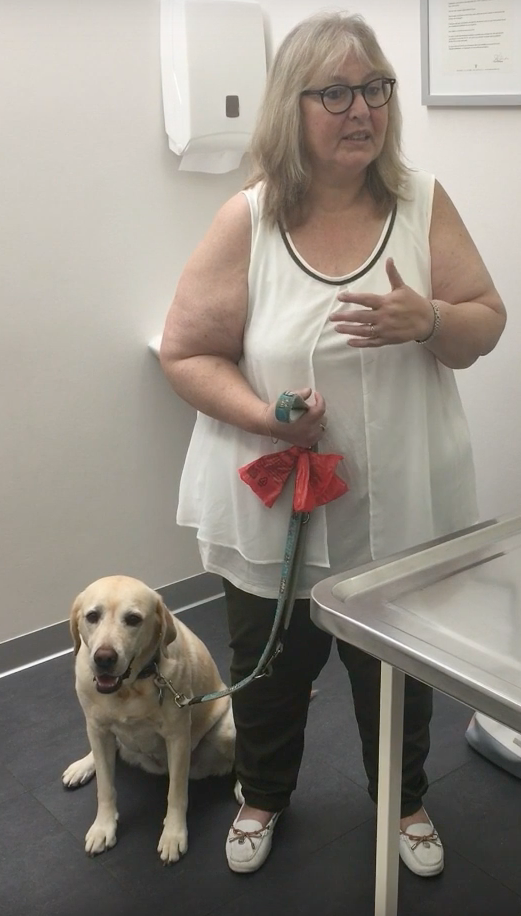 Vétérinaire Nyon, Veterinaire Nyon, Nyon Veterinaire, Nyon Vétérinaire, cabinet vétérinaire Nyon, cabinet veterinaire Nyon, clinique vétérinaire Nyon, vétérinaire de Garde Nyon,veterinaire de Garde Nyon, Cabinet Vétérinaire International